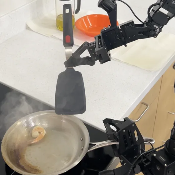 A bimanual robot cooking shrimp in a pan on a home stovetop