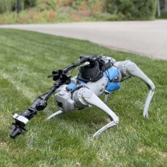A quadruped robot with a mounted arm reaching down to the grass on a lawn